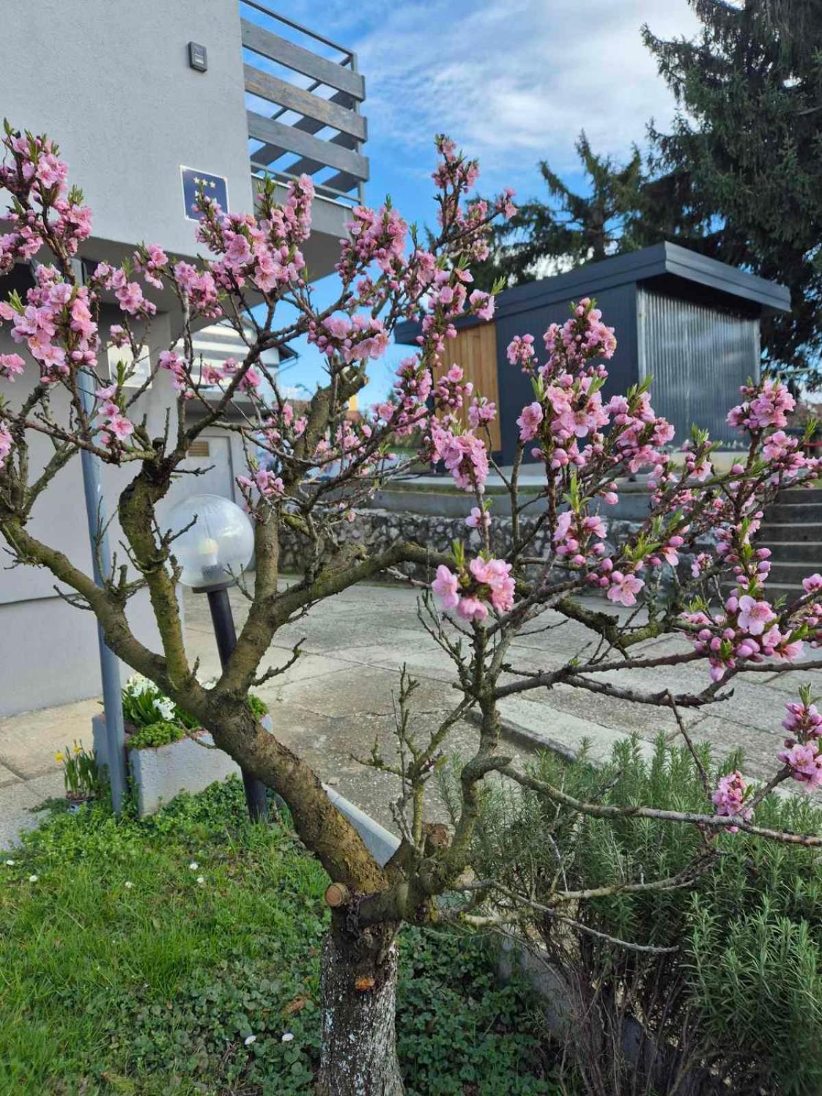 Apartmani Habibi Jalzabet Exterior photo